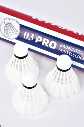 Badminton