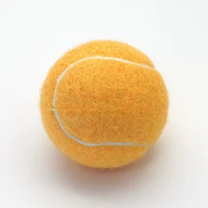 Tennis 09