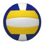 Thermal bonding volleyball 08